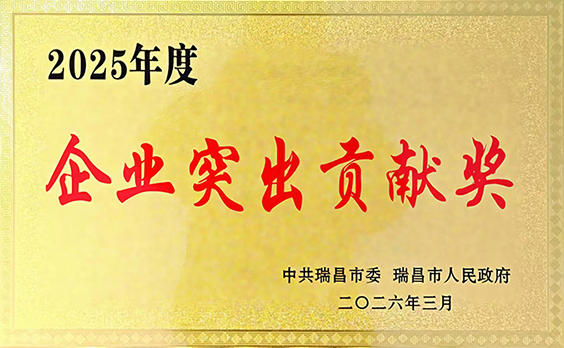 2026年3月13日，江西亚东获颁瑞昌市