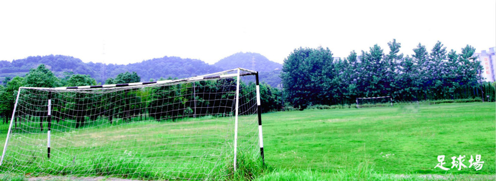 员工风采 员工风采