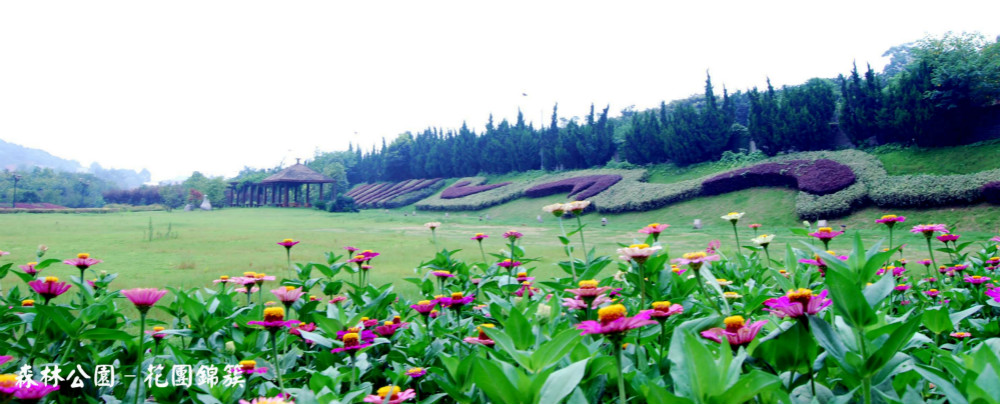 员工风采 员工风采